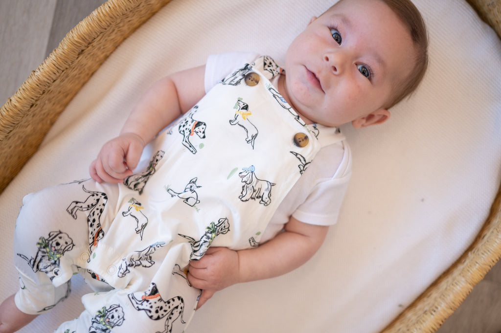 ‘Must Love Dogs’ Overall