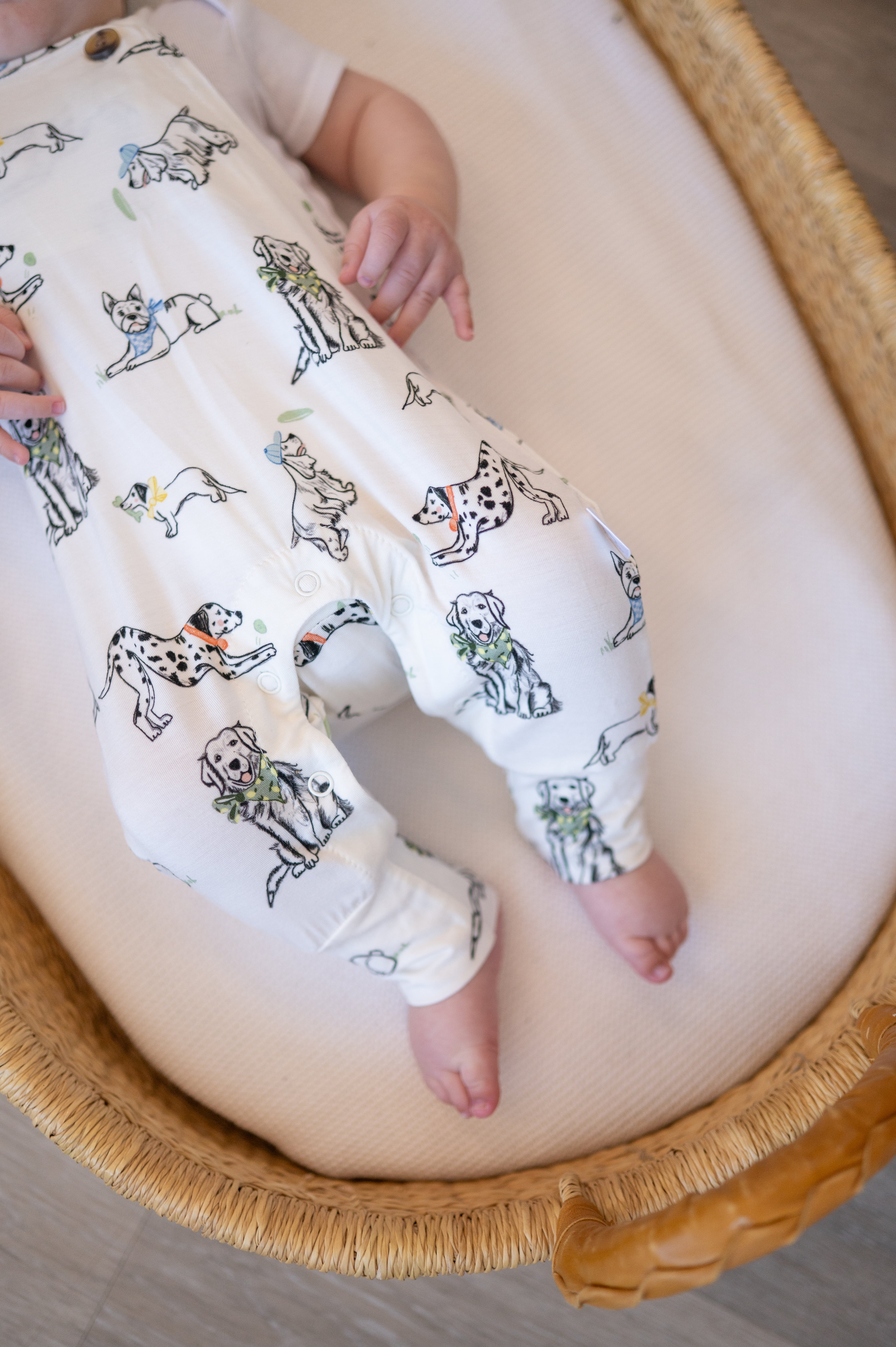 ‘Must Love Dogs’ Overall