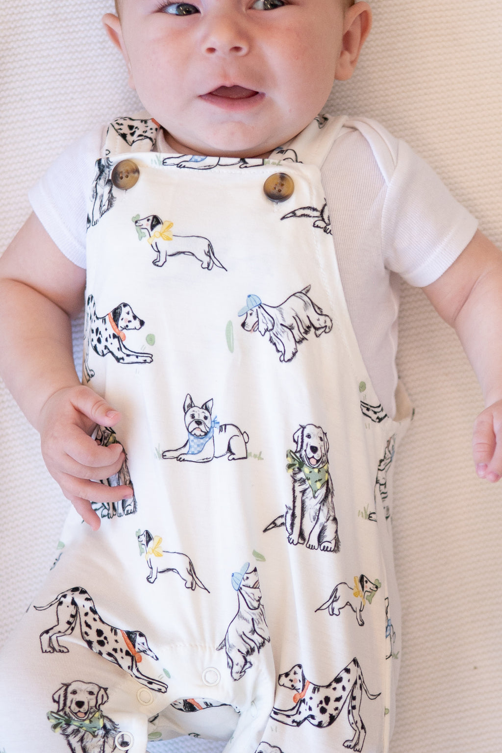 ‘Must Love Dogs’ Overall