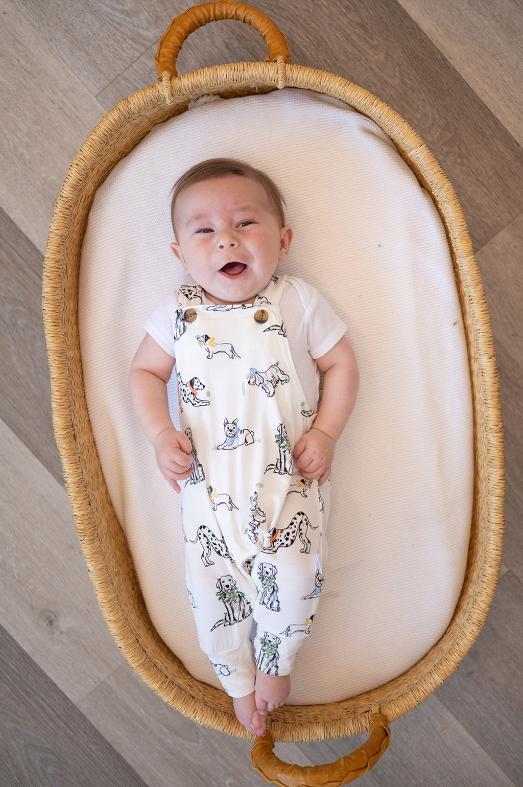 ‘Must Love Dogs’ Overall